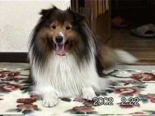 �܂�̑��q�A�����ł��B