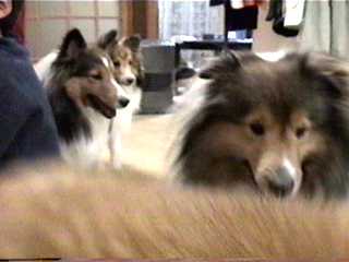 �ꂨ�ɁA�����ځI