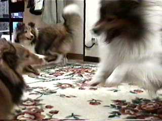 ����Ƀr�r��A�ꂨ�B(��)