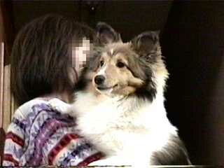 �����Ȃ�܂����B(��)