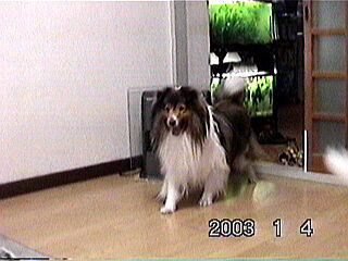 �u�P�N�̂��������ł����B�v