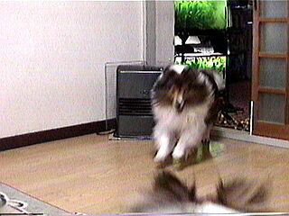 �u������������I�v