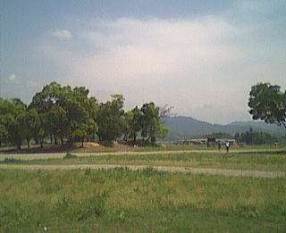 �����{�Ղ̎ʐ^