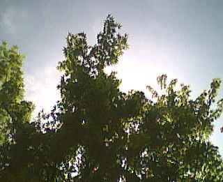 ���݂��̎ʐ^