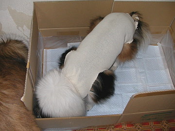 �_���H�E�E�E���i�j�Hd(>_< )