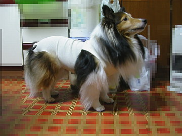 ����Ȏp�ɂȂ��Ă܂��B�B�B