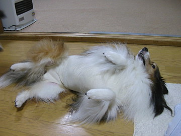 �u�����v���ł��܂��I