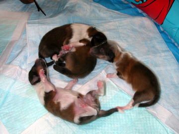 �܂�̑��a���I