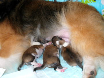 �}�}�̂����ς��A���������ˁ�