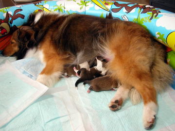 ��[����[����