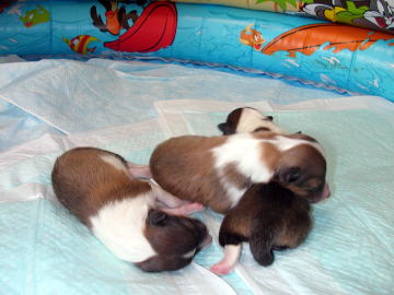 �������A�d���I