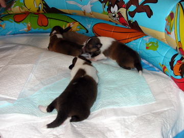 �Q���͂���ȁE�E�E