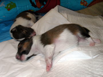 (-�B_)�B�Bo�Z