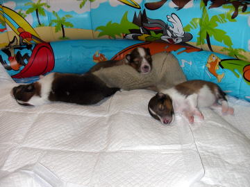 ��������������A��������������E�E�E