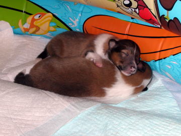 ���C�L���`�E�E�E