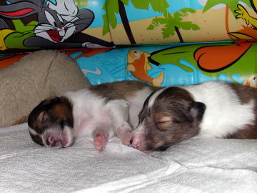 �������������B