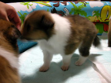 ����͂Ȃɂ��ȁH�@���񂭂񂭂�E�E�E