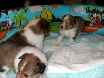 ���ځX�_(���B��)�L���[��!!