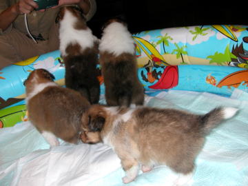 ���������I