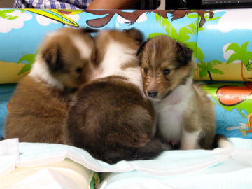 �Ȃ񂾂������ˁE�E�E