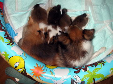 �����ς������ς��B