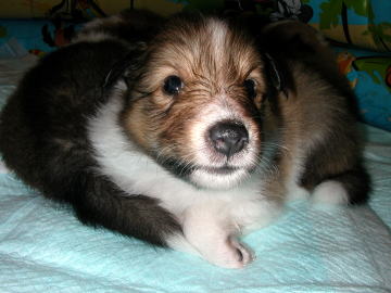 �����܂���