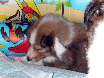 �J�C�J�C�J�C�I