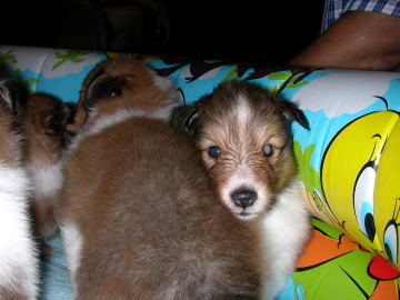 �����܂��B