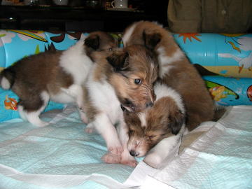 �C�^�^�^�^�E�E�E