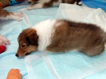 �����B�B�B