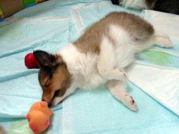 �������������@(-�B_)�B�Bo�Z