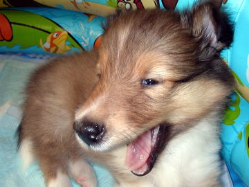 (���B��)�L���[��!!