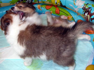 ����܂����H