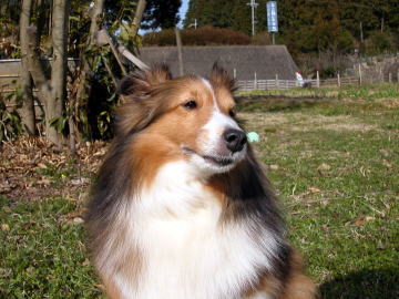 �Ƃ��Ă��L���ˁ�