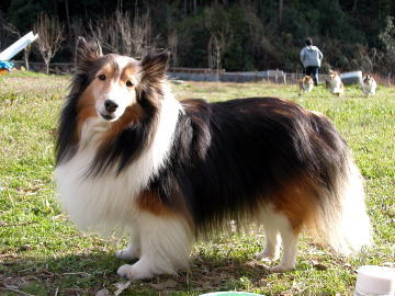 ���^�V�́i�����j�}�C�y�[�X�B������������҃_�b�V��!!