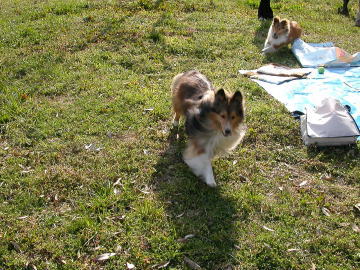 ��[����[����ƈ������������"���[����"