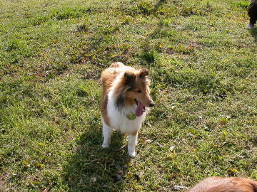 ���̌��ǂ�������"�G�[�X����"