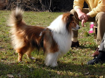 �i�}�}���j�����"�i�h�m����"