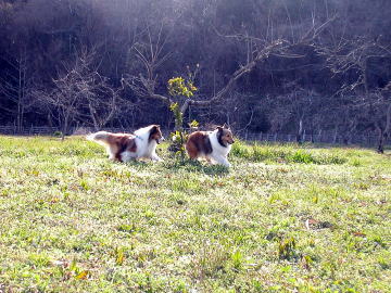 (((((�^^_^)�^�i�i�i�i�i�^�O�Q�O�j�^