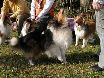 ���R���!!