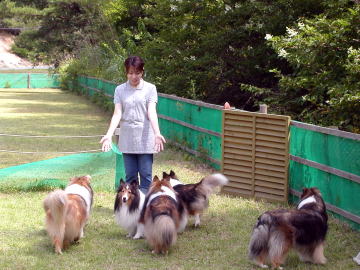 ����������