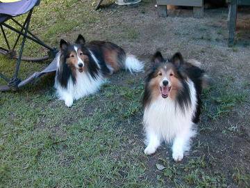 �܂��[��y��