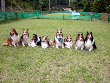 �ꂨ���[�́H