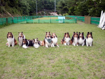 (^^)//""""""�p�`�p�`�p�`�p�`����