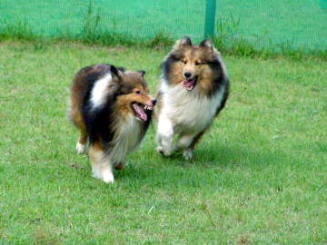 ���[�̂��炪�������[(��)�B