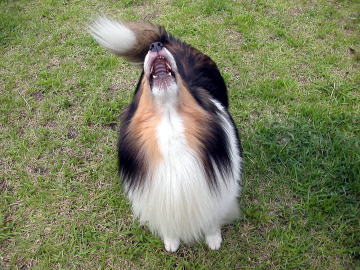 ��ς����b�ɂȂ�܂����B