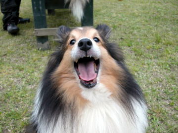 �y������񁙜c