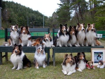 ���[�I�p�b�`���i�΁j