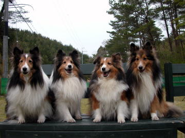 ����ς荡�����C�s���E�E�E