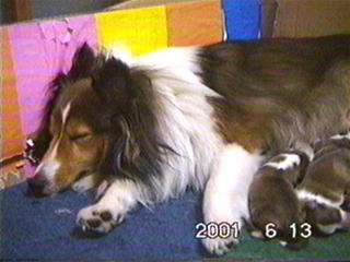 ��������܂邿���